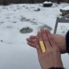 IMG 7517
